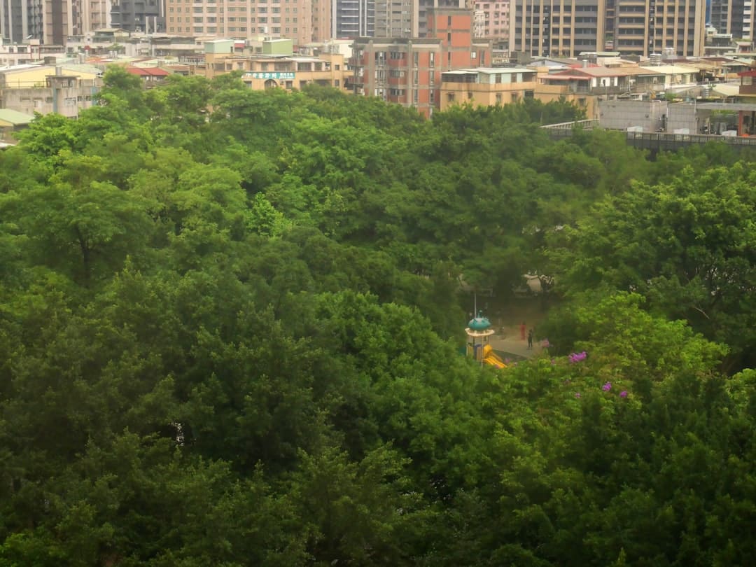 Comment transformer une maison urbaine en un oasis de tranquillité ?