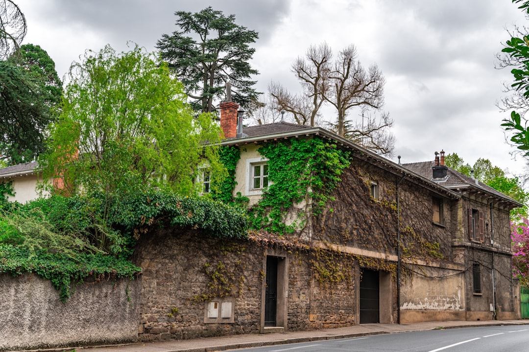 Pourquoi la maison en pierre est-elle le choix idéal pour allier tradition et modernité ?