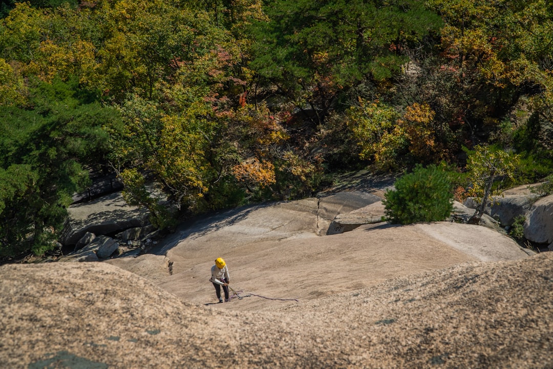 Quelles sont les meilleures activités en plein air pour se reconnecter avec la nature ?